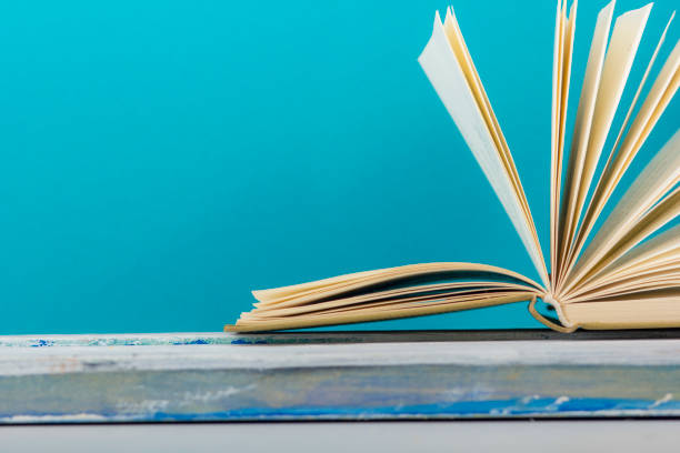 The Changing Landscape of Special Needs in America (2025)